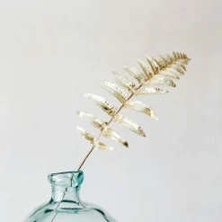 Single Fern Leaf