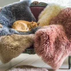 Single Sheepskins