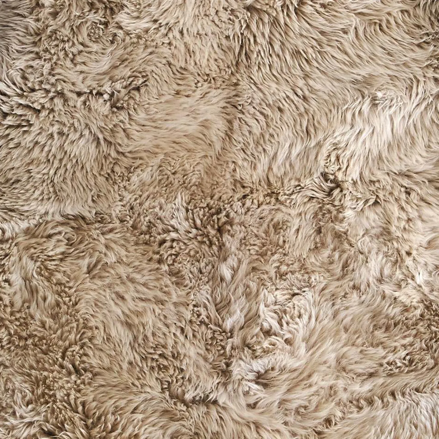 Single Sheepskins