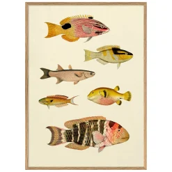 Six Fishes Print with Oak Frames