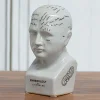 Small Ceramic Phrenology Head