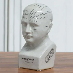 Small Ceramic Phrenology Head