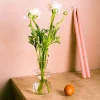 Small Curved Clear Glass Vase