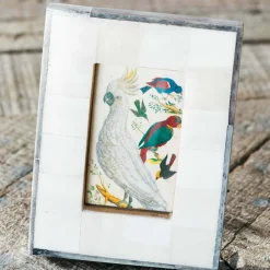 Small Grey Lipping Bone Frame