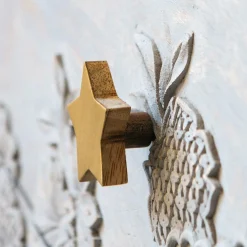 Star Wooden and Brass Knob