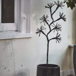 Starburst Branch Light