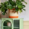 Striped Red Basket