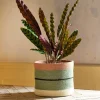 Striped Rust and Green Basket