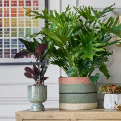Striped Rust and Green Basket
