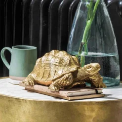Tarantino the Tortoise