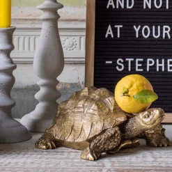 Tarantino the Tortoise