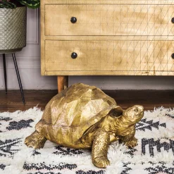 Tarquin the Tortoise