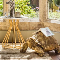 Tarquin the Tortoise