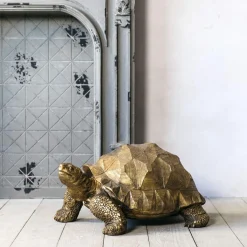 Tarquin the Tortoise