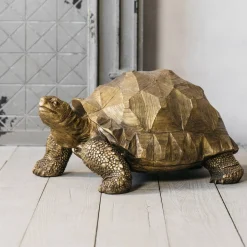 Tarquin the Tortoise