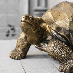 Tarquin the Tortoise