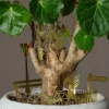 Tiny Bike Plant Decoration
