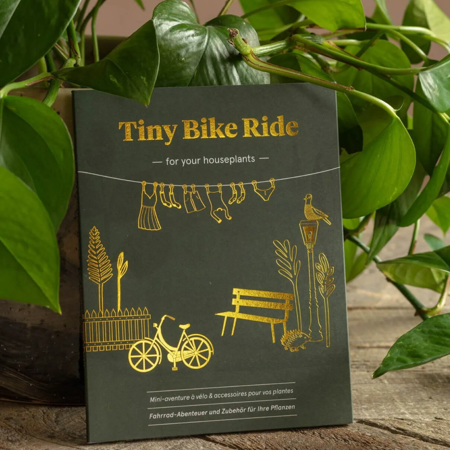 Tiny Bike Plant Decoration