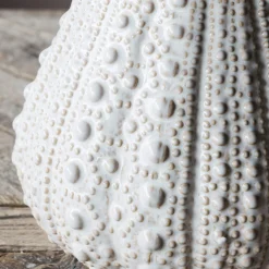 Urchin Jugs