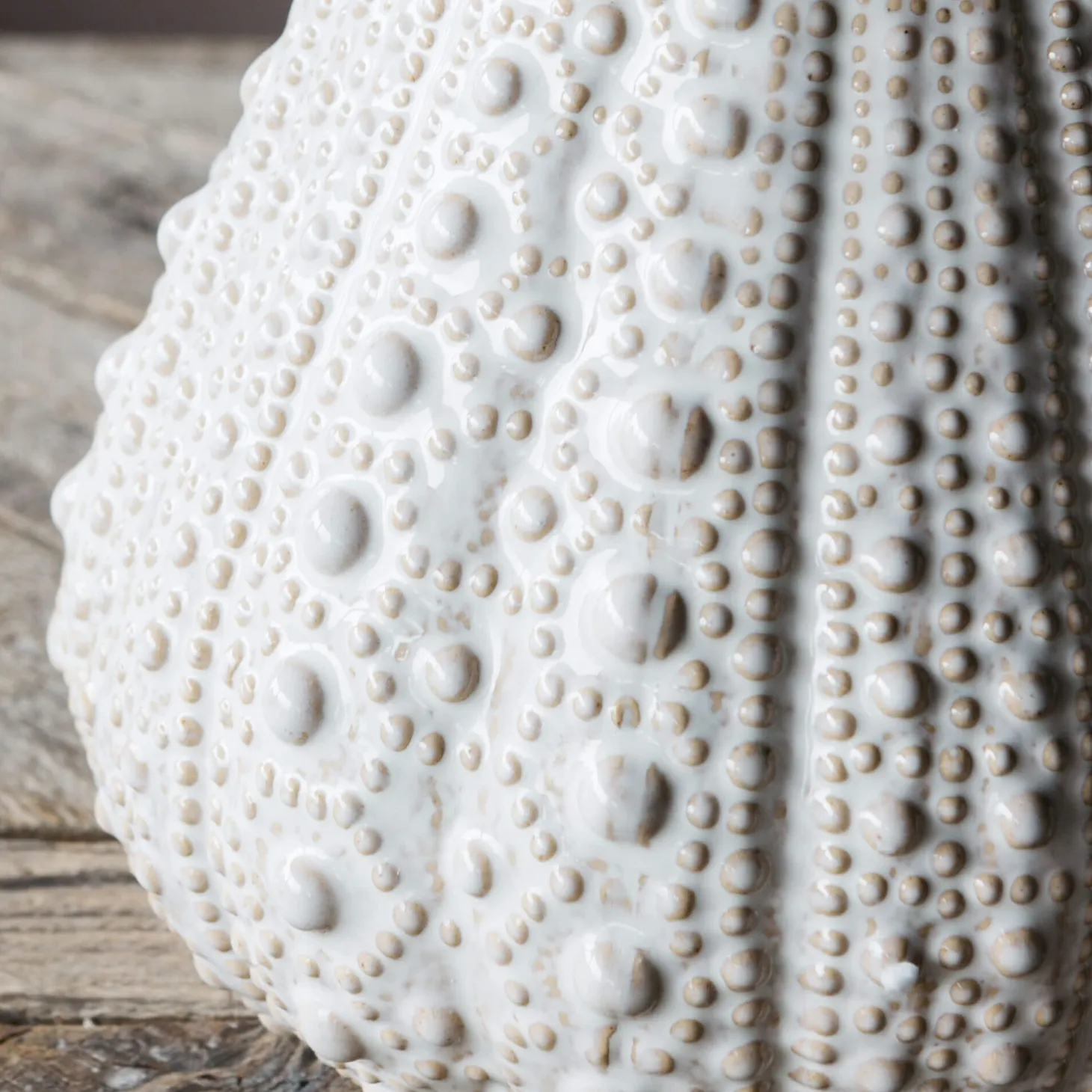 Urchin Jugs