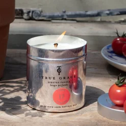 Vine Tomato Tin Candle