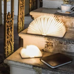 Walnut Smart Book Lights