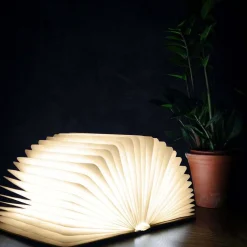 Walnut Smart Book Lights