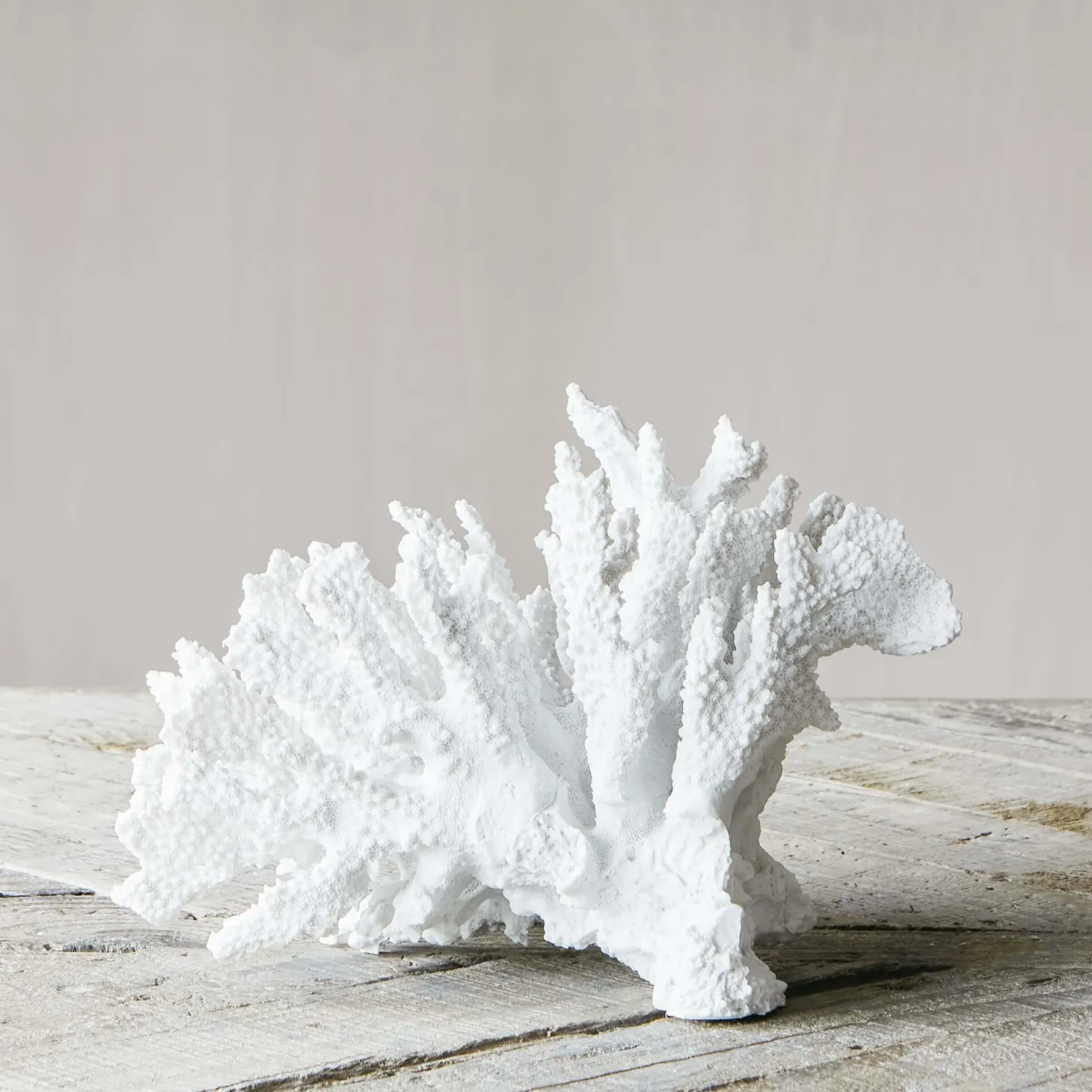 White Ceramic Coral