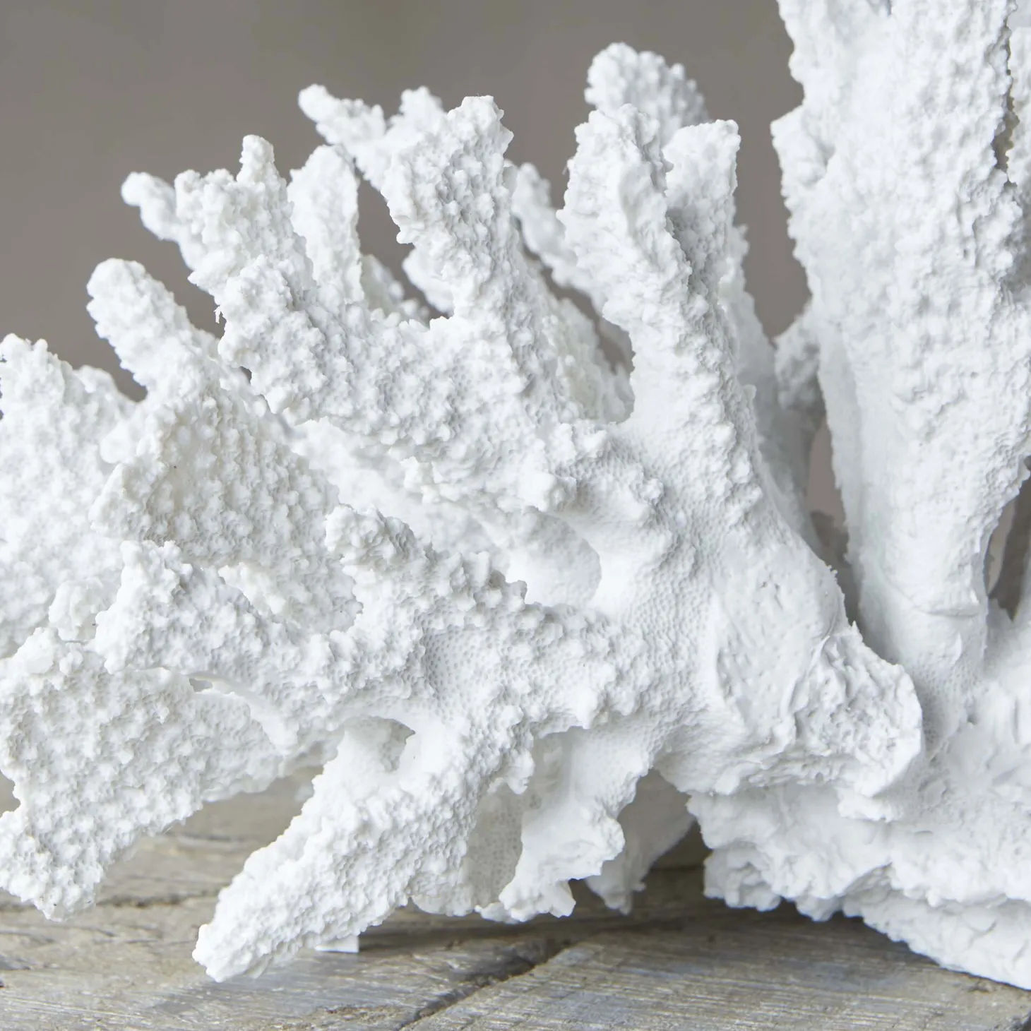 White Ceramic Coral