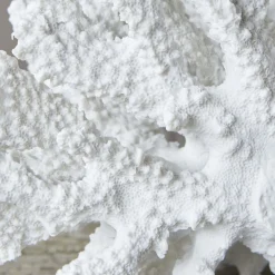 White Ceramic Coral