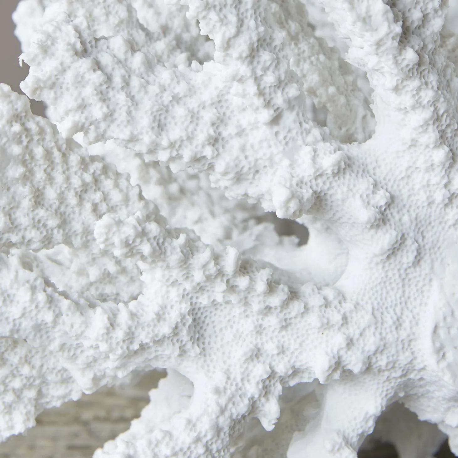 White Ceramic Coral