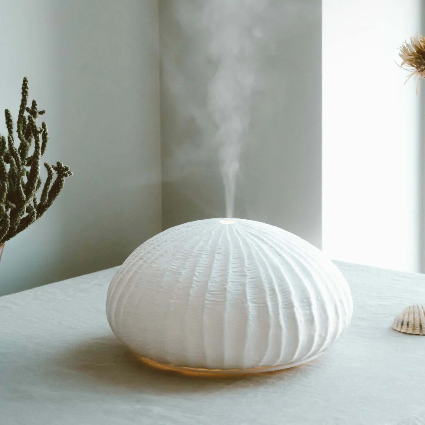 White Coral Reef Diffuser
