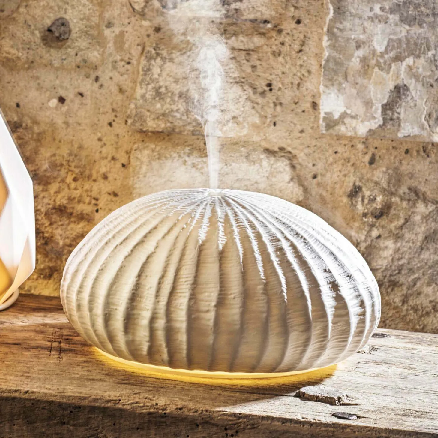 White Coral Reef Diffuser