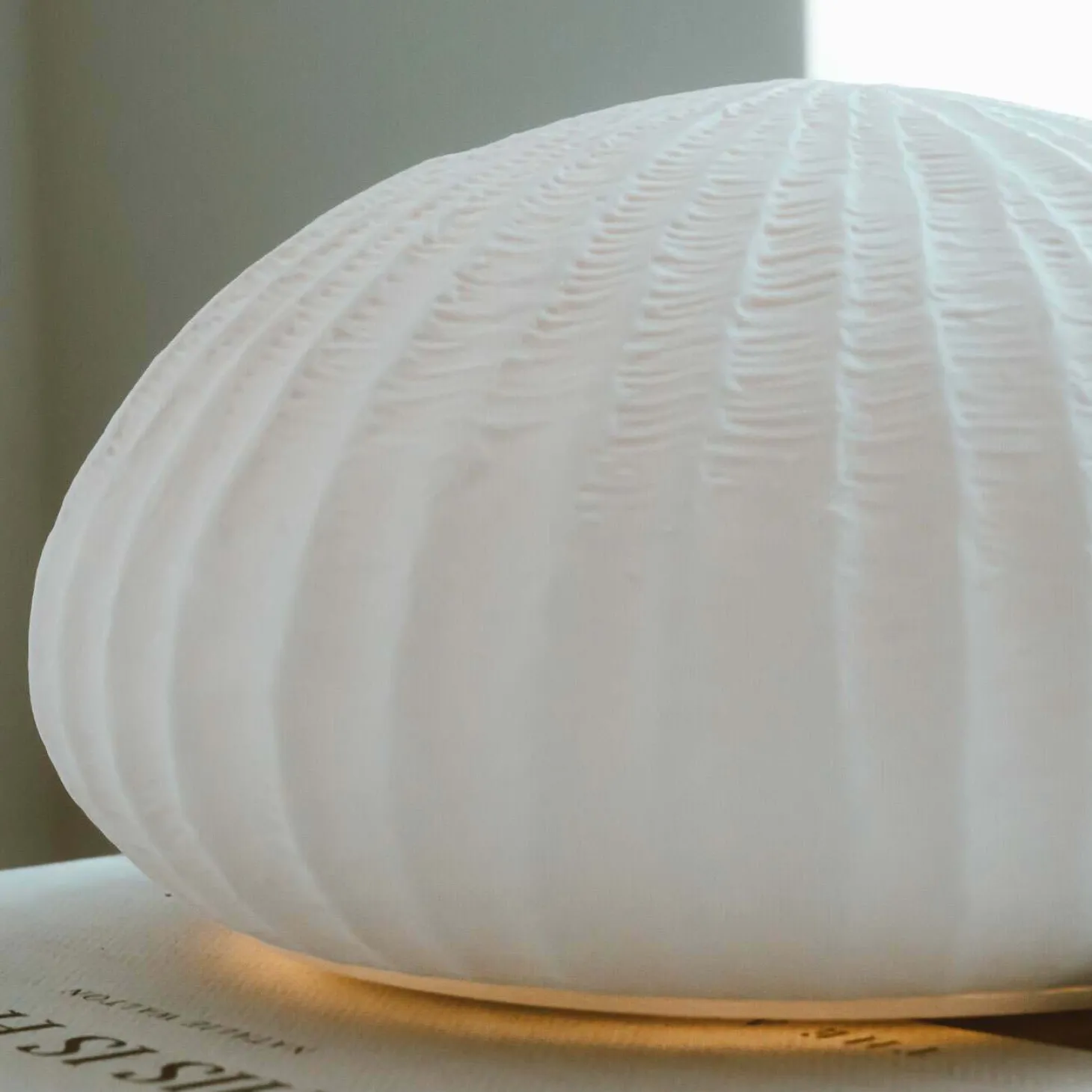 White Coral Reef Diffuser