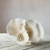 White Faux Coral on Stand