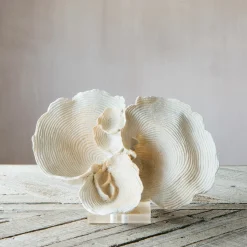 White Faux Coral on Stand