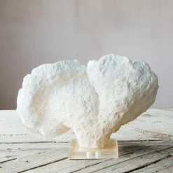 White Faux Coral on Stand