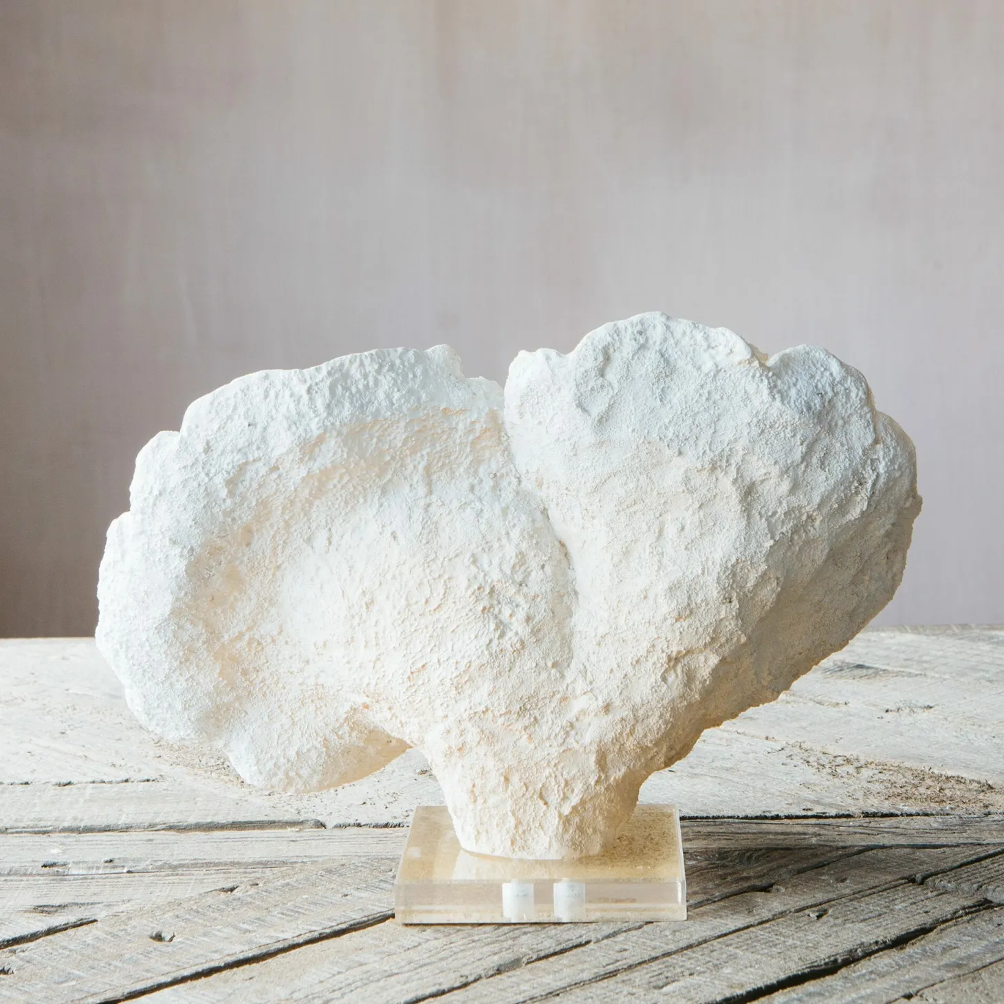 White Faux Coral on Stand