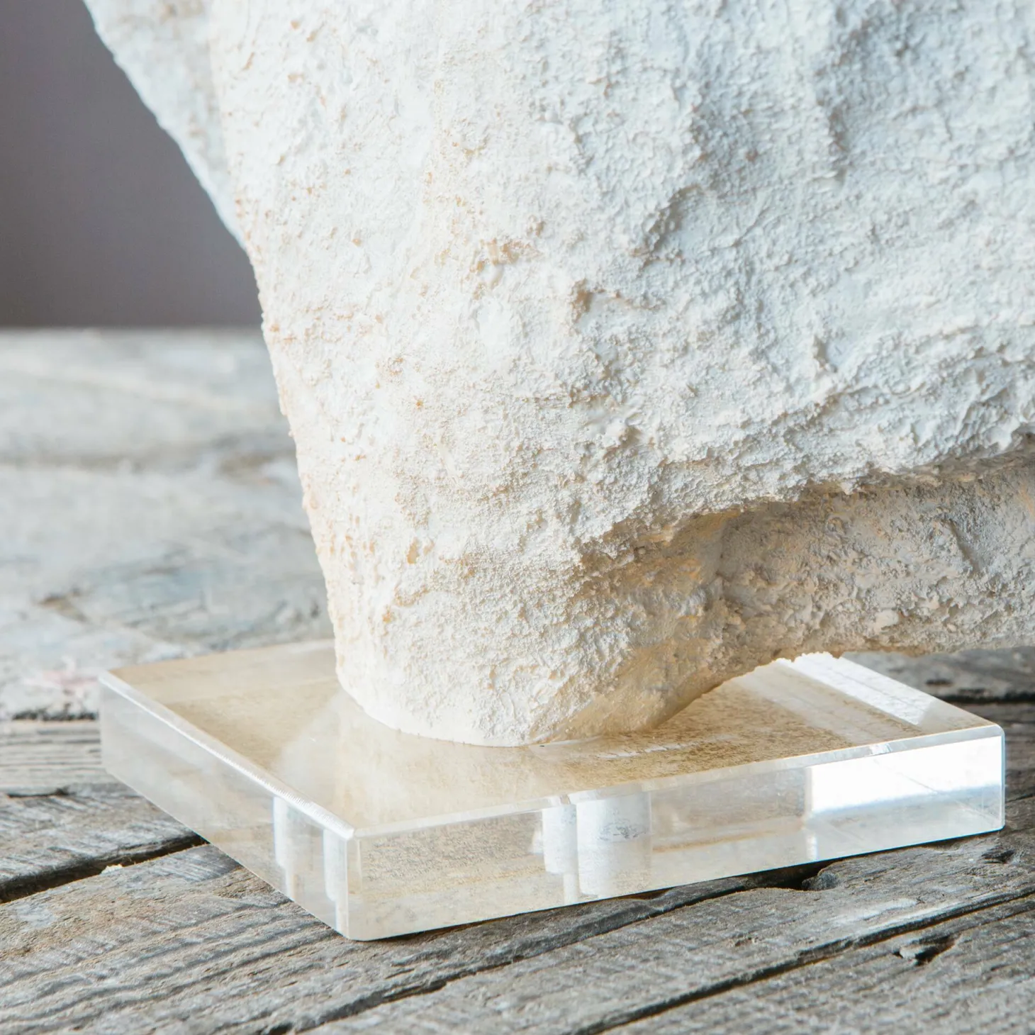 White Faux Coral on Stand