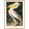 White Pelican Print with Oak Frame