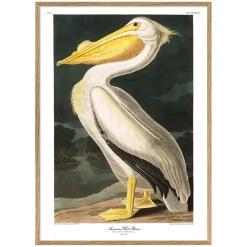 White Pelican Print with Oak Frame