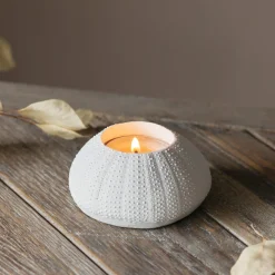 White Urchin Candle Holder