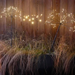 Wild Fennel Light
