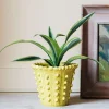 Yellow Bobble Plant Pot