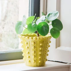 Yellow Bobble Plant Pot