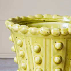 Yellow Bobble Plant Pot