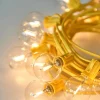 Yellow Festoon Lights