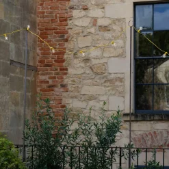 Yellow Festoon Lights