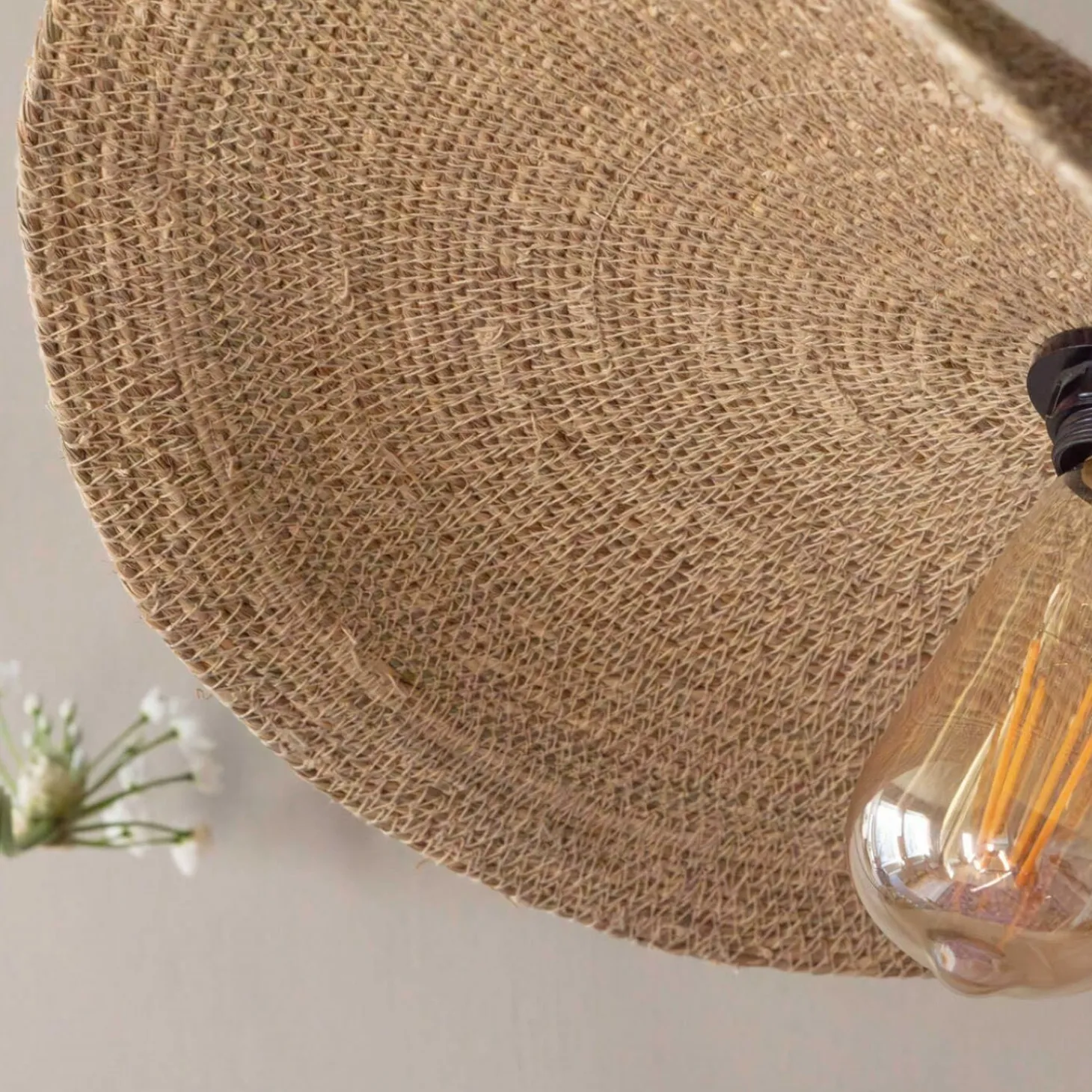 Zinnia Wall Lamp